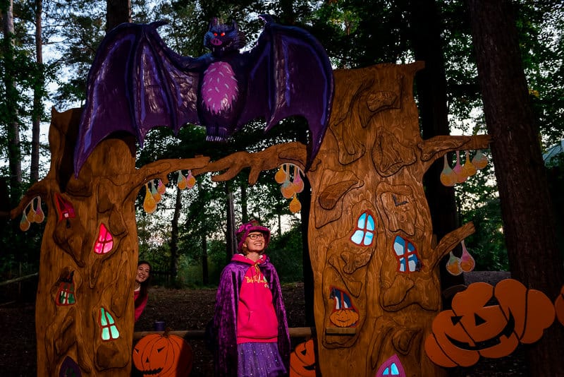 Bewilderwood staff outfit for Glorious Glowing Lantern Parade